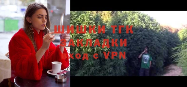 прущая мука Вяземский