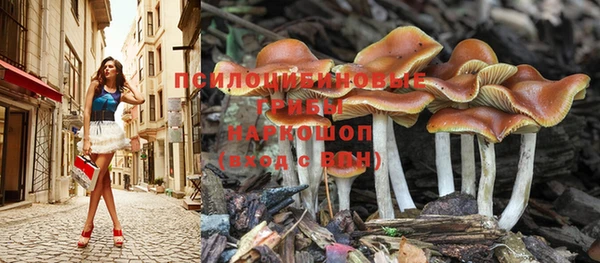 прущая мука Вяземский