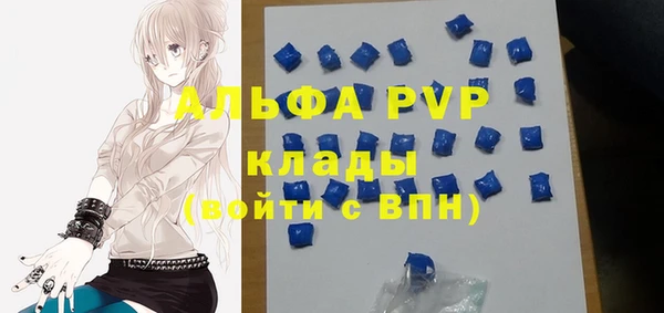прущая мука Вяземский