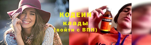прущая мука Вяземский