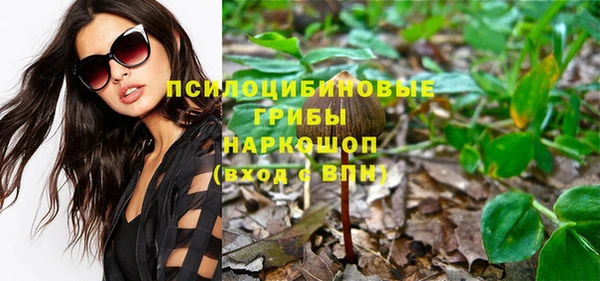 прущая мука Вяземский