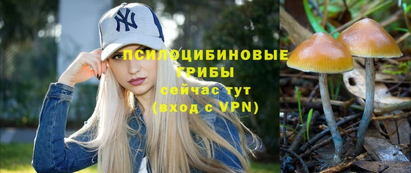 mdpv Вязники