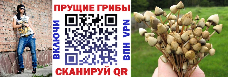 Галлюциногенные грибы ЛСД  Ивдель 